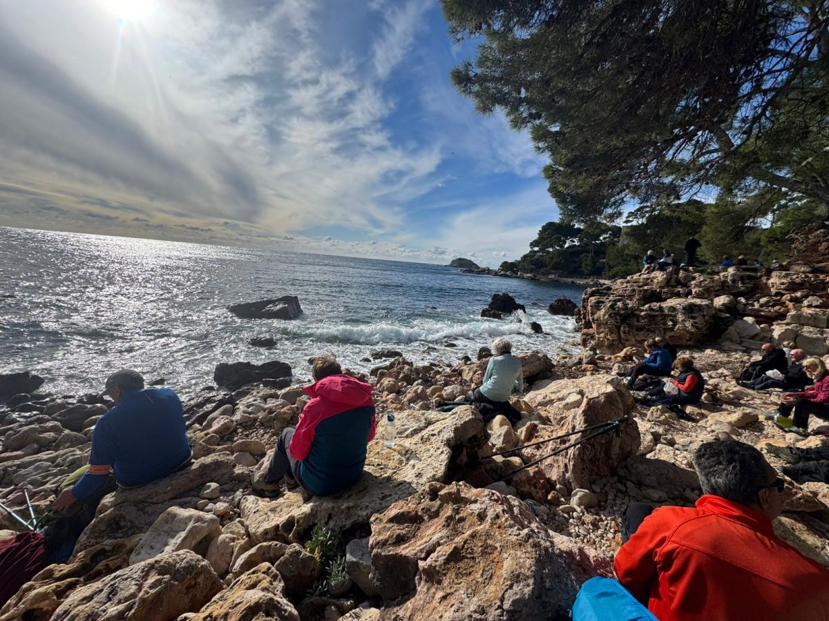 44478270-e583-4cf5-ac63-fed3e290f8af