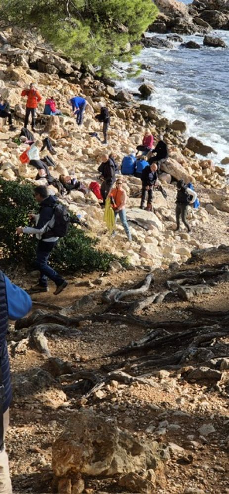 47d6028e-cb4b-4fea-a421-d2a2ab02d7b5