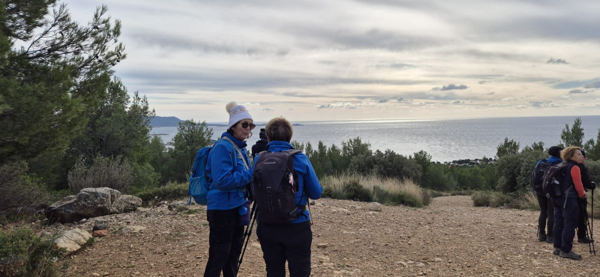 491e4cd6-c1b3-44ab-a3da-5bef8d5571fc