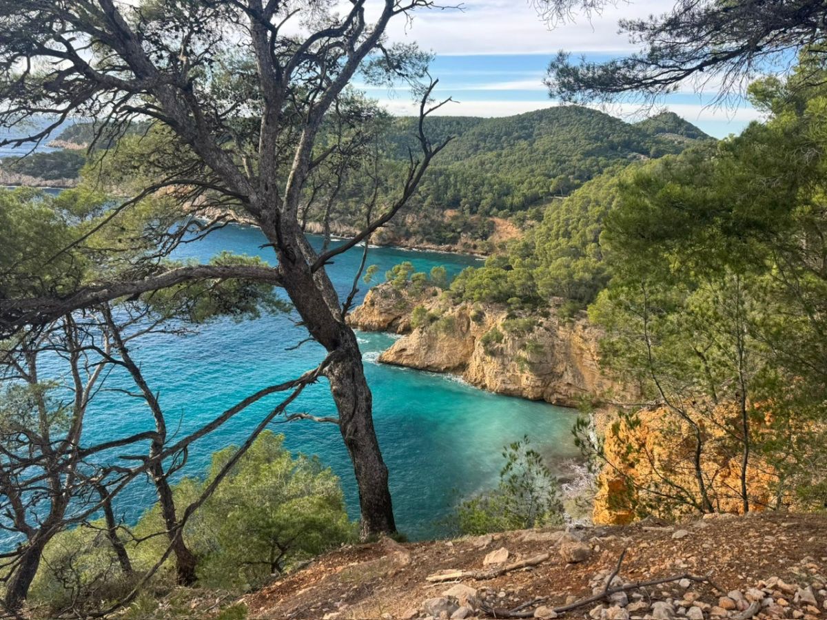 519f9aa1-b6e4-490b-8979-5bed48d6337c