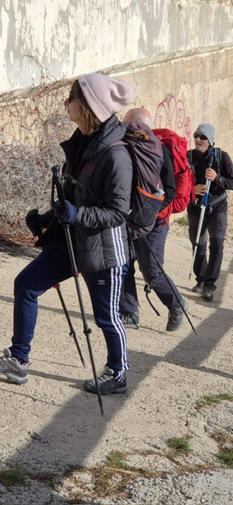 58e1ccbf-549b-4aa6-9e57-d000c6be5c48