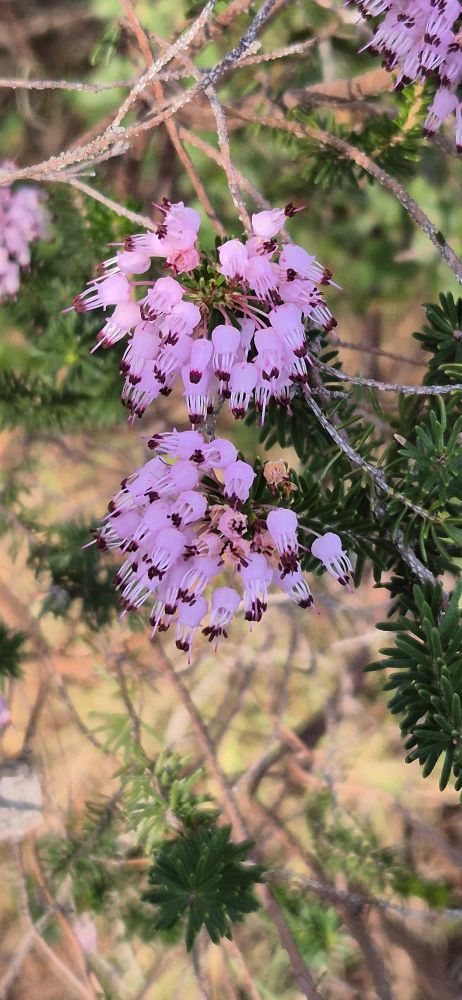 591d9757-b9df-4fb9-b967-3969d97b36f1