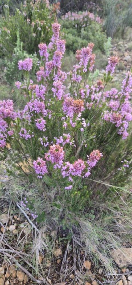 6b55f36d-be87-4745-b249-f5e547ee5344