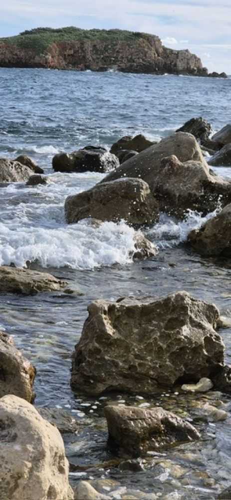 6e6896a5-59b2-47d9-8351-1810869610c6