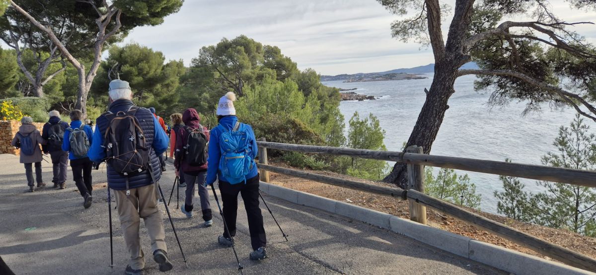 703f22fb-0628-4fb2-846c-fd2af973e163