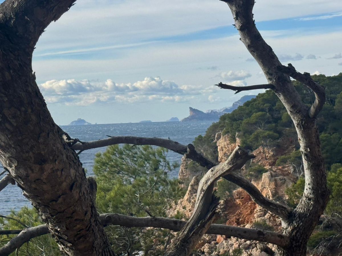 73080427-a9c1-4a93-850c-577ca33c0d68