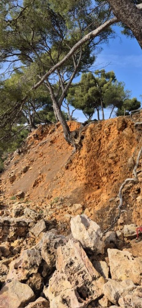 7b388a3e-2f03-45e8-8dc0-5f929bfdd1b9