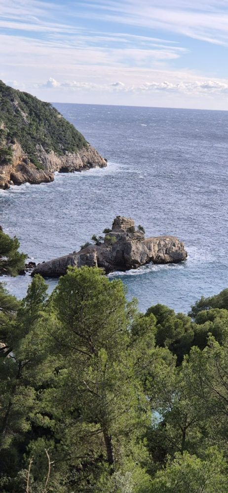 7d4f0188-40cb-44ba-88d0-e582f358b509