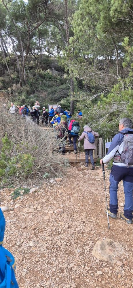 7ef7df62-604d-463c-8958-1dcabdae2dfa