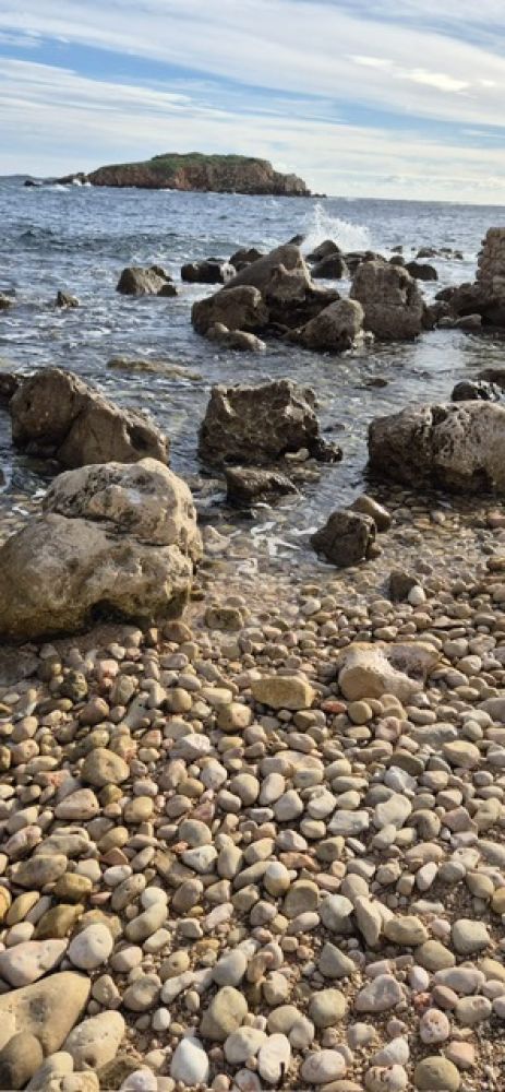 888ec869-046e-4c98-9243-8fc0577423ed