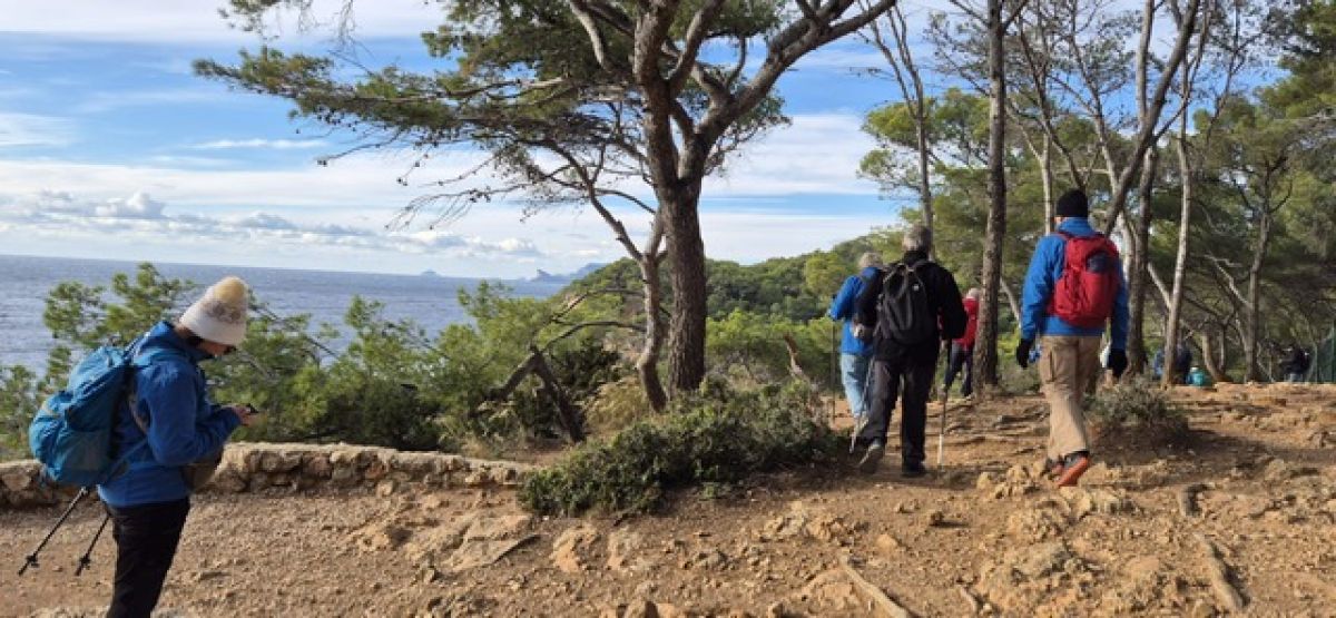 89f05ee8-1980-45dd-8df7-8b285f86be5a