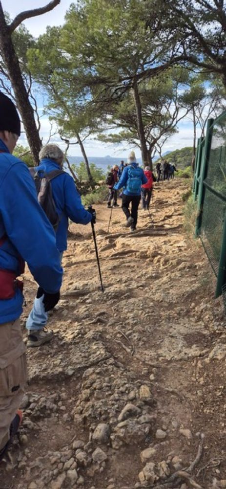 8e3873f3-901e-4e82-9d1c-7dff6f2ee615