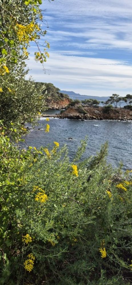 ab6389ae-402c-4d79-bce9-c2eb5b067054