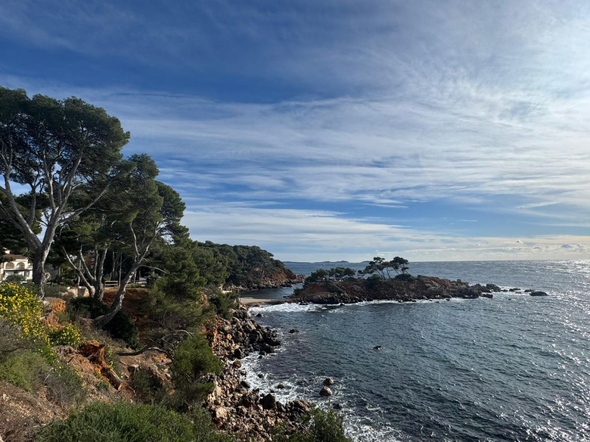 b34cec1b-556b-4c7e-a0ba-662ca5253532