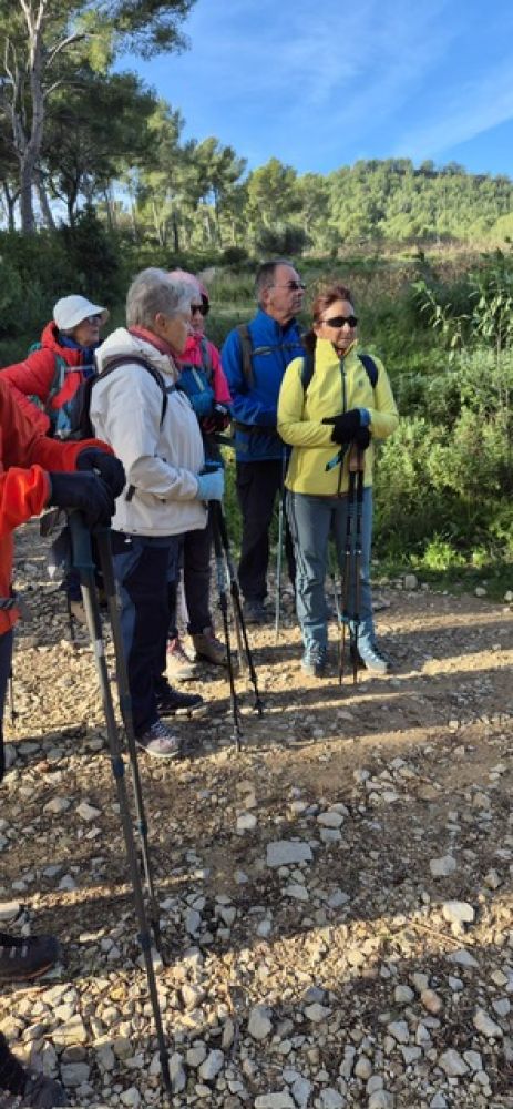 b7253104-4694-4047-bb78-311e95ee87ea