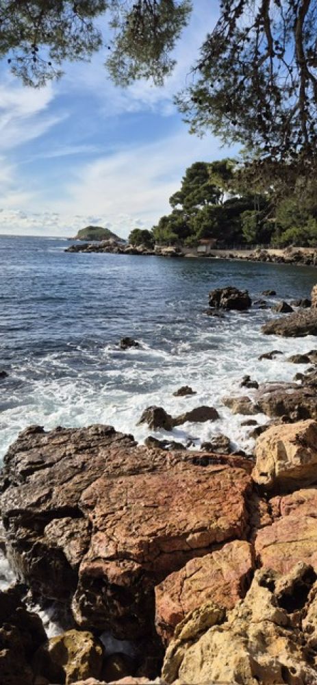 d01b4c2d-cef5-4af9-b9ec-476f3acd2948