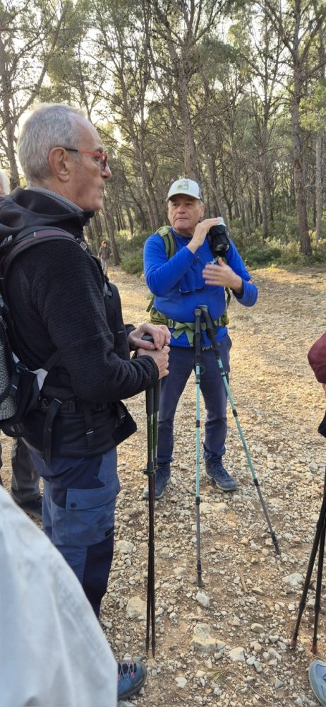 d052849c-022f-416a-b496-74df9a637d37