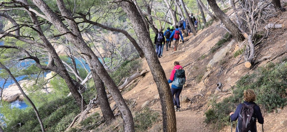 d4cc650e-d720-4cd0-912e-686169fa3c1c