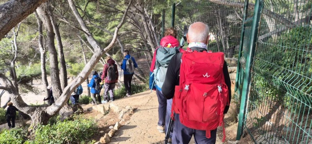 e0d29978-469a-4d26-bd50-19ac42b4a64a