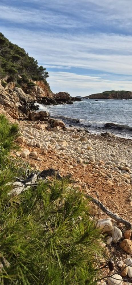 e0dab6ce-164e-465f-bc6f-ed08056def5c