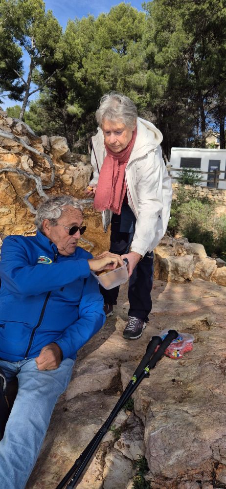 fc7a6938-bdf2-49d3-9f8b-a9d966c9061d