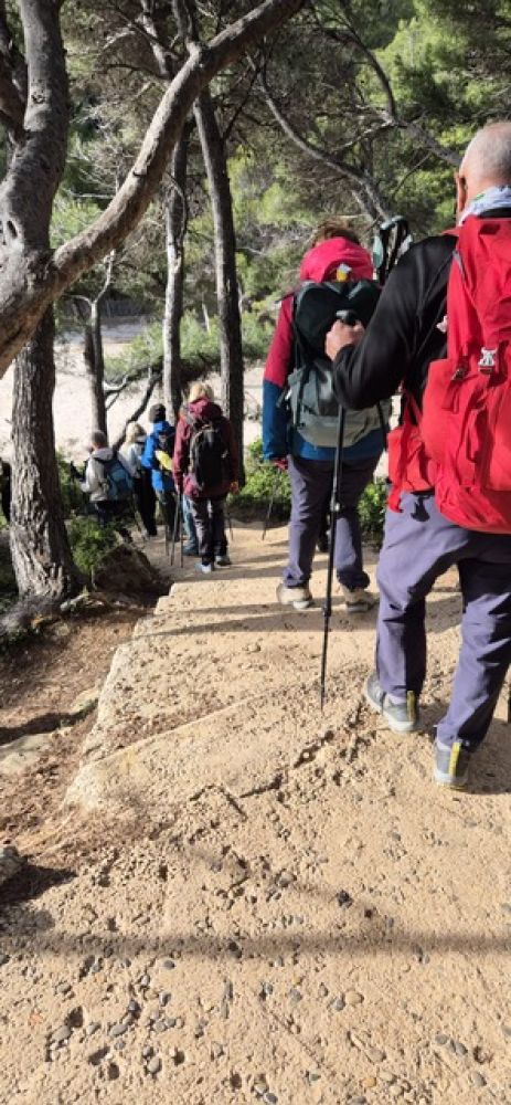 ff57e2b7-e1c2-45a8-8357-8c8cc828a669