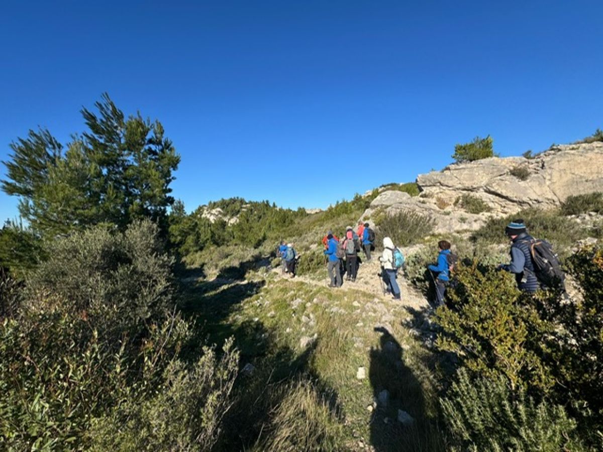 3049eee9-e960-43e3-b47b-cab7448bada2