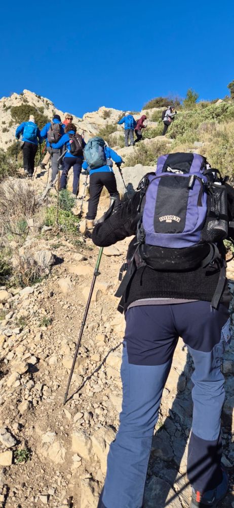 3466a4f5-acca-4664-85ad-2c8193bb32fa