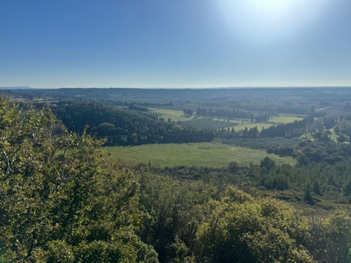 4bacf6e5-e91d-4276-a701-12478b3dcc12