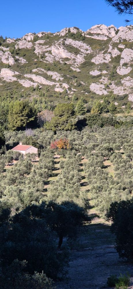 508ca40f-94c9-43d3-bb15-d9b0c26f66f5