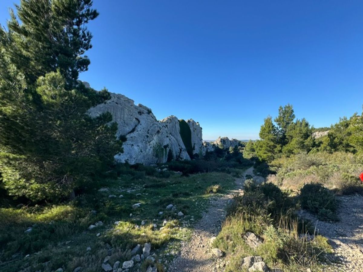 52ab30b4-622e-47de-bd51-1a931cc6c53e