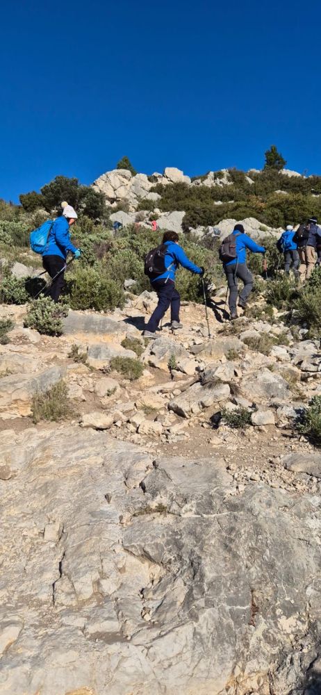 55a8fb71-2c4b-4fe7-a0fc-9dafe7a8d52f