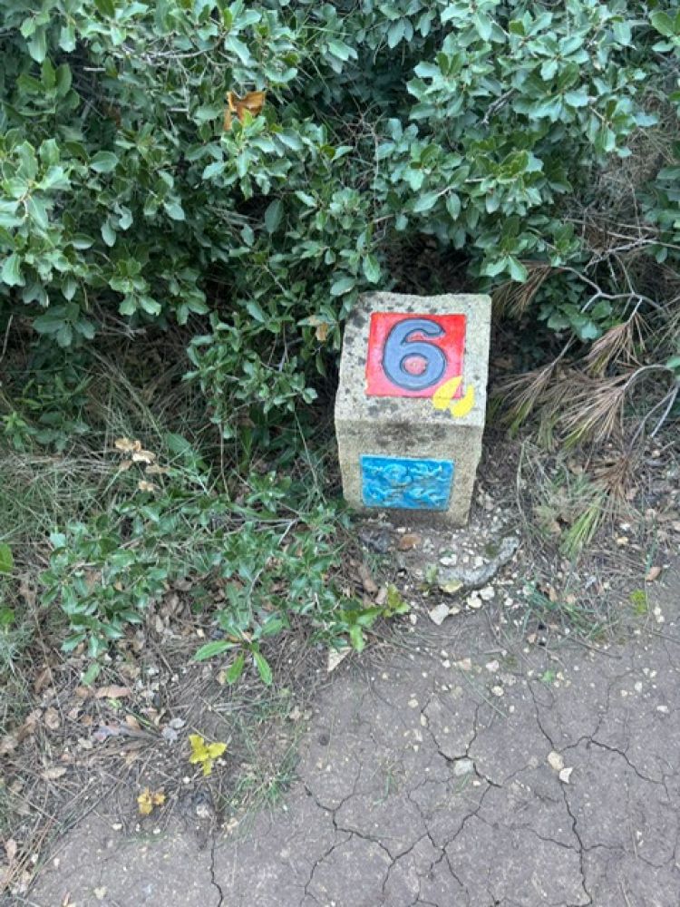 56258b41-474e-4358-ac16-db4b2a15ed1f