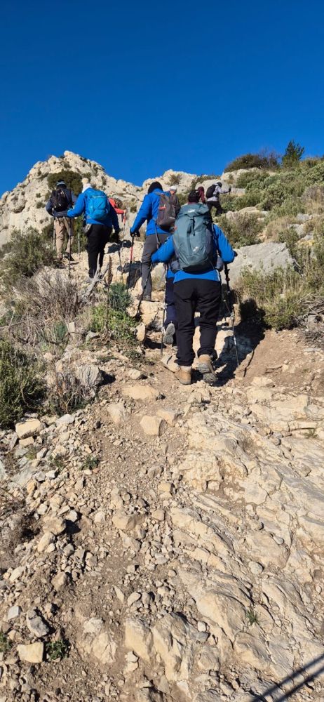 5e198d78-4fe4-4926-b0cd-e0e7835dc696