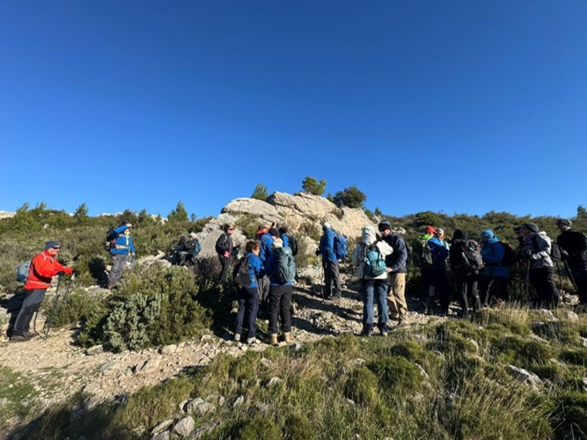 678c0646-0feb-41e6-a375-c4aec9d2fa21