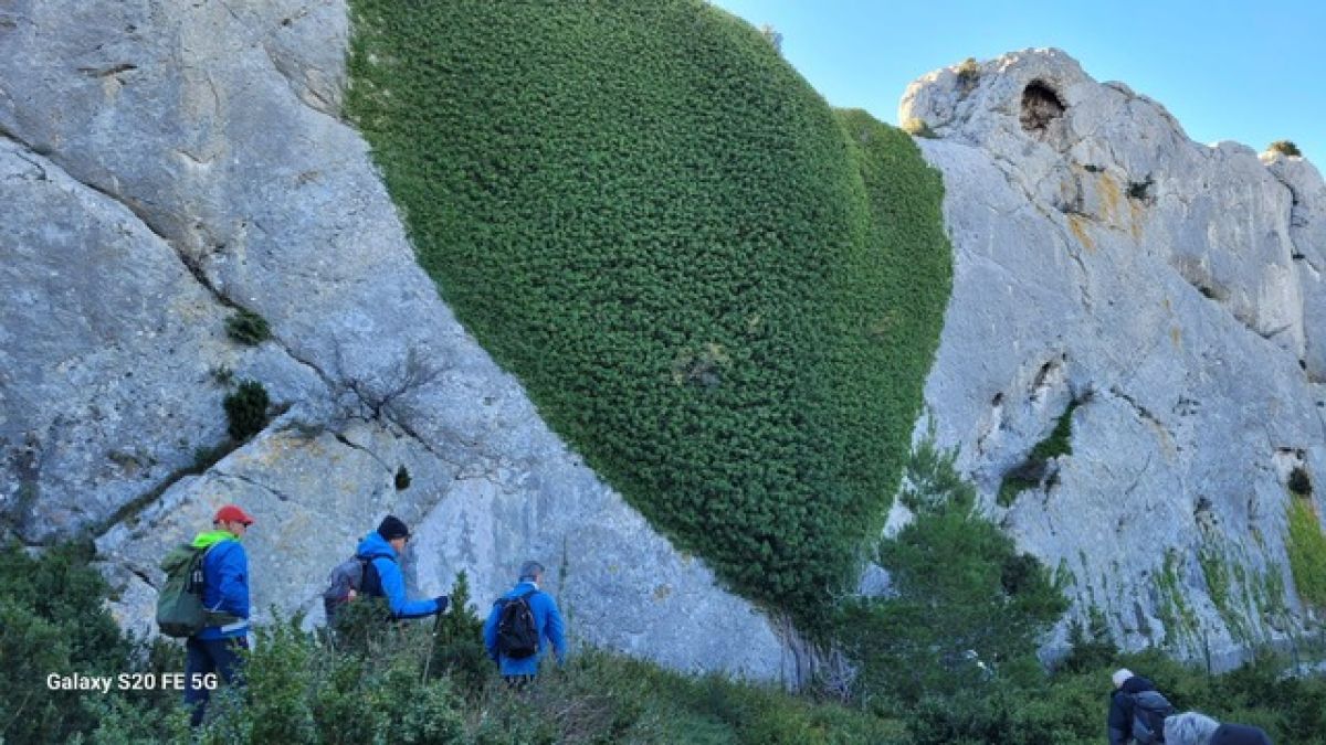 6d02e6c6-1179-4d14-8b8f-a31f79b718d2