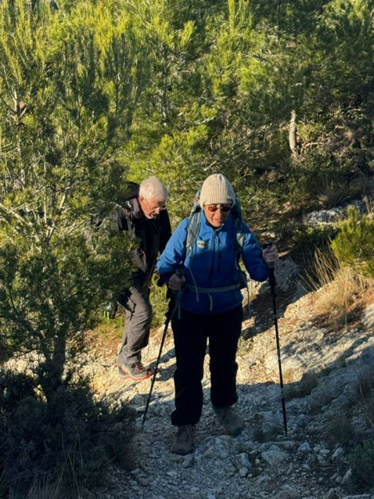 7563d3de-be18-4791-a6ab-6d929a1ede6b