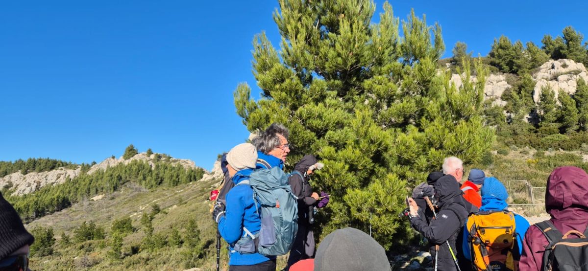 81ed889b-47d9-4adf-814c-f8b076d50c23