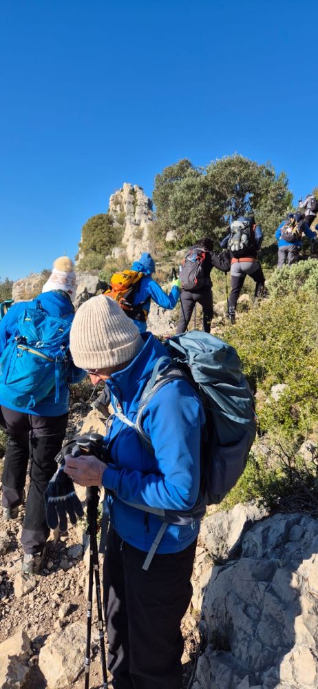 98bd02ca-45ba-44e1-8285-405ff20ef295