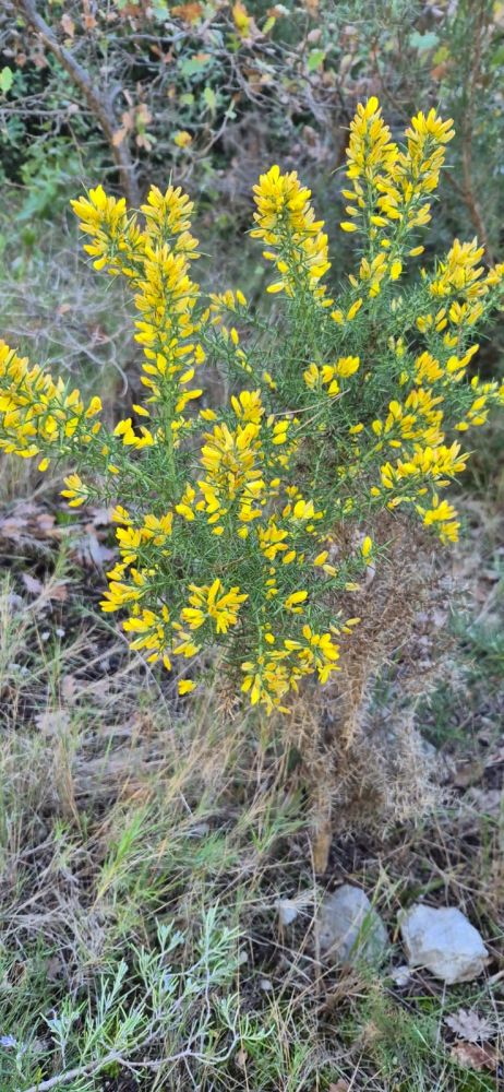 98c6cd49-9b1e-4644-9d19-393f676db1d1