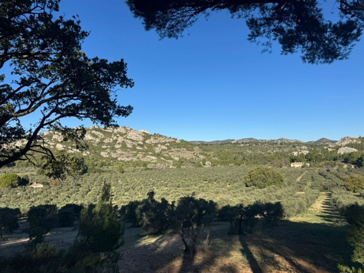 b712206c-643e-4d4b-8c9e-4f5ded065943