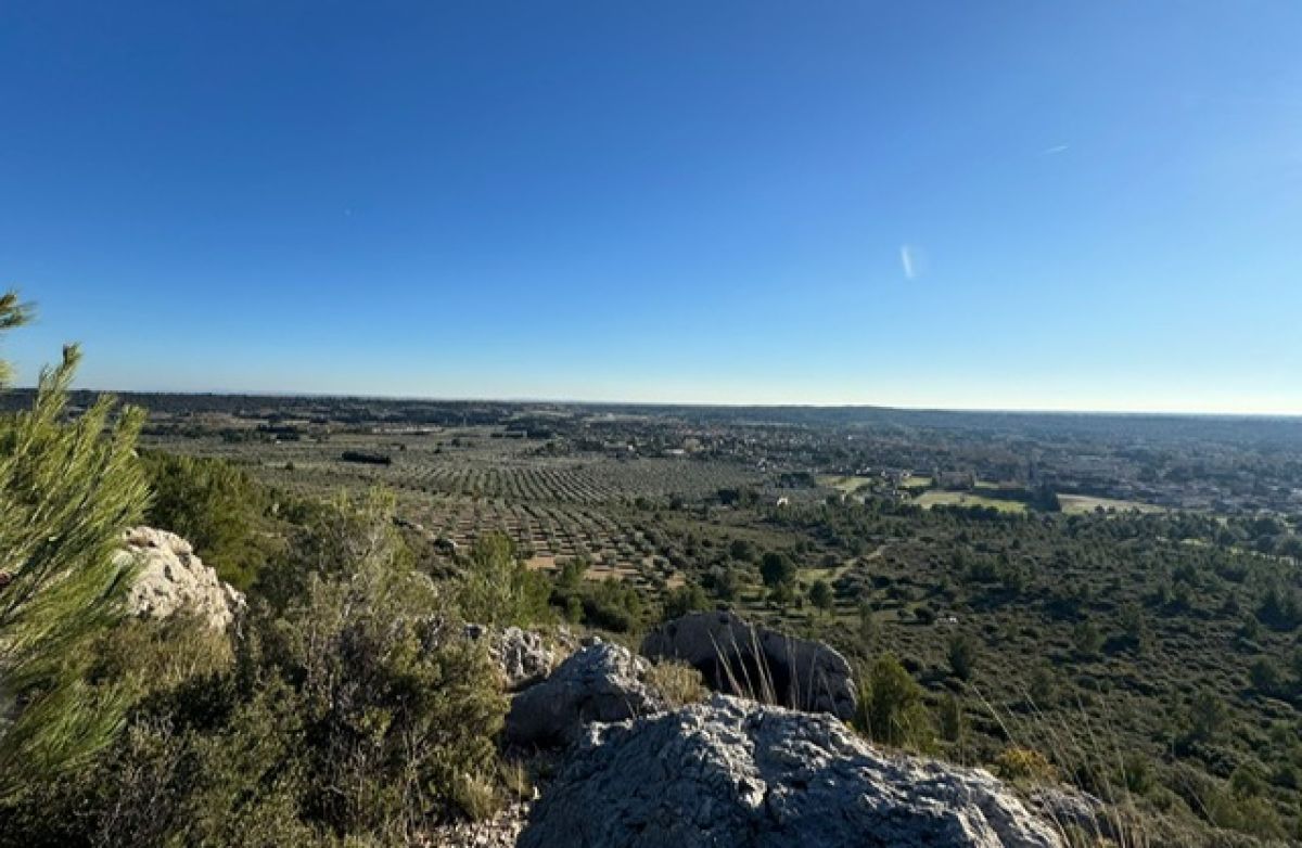 bf5266f2-705b-4080-b9e6-d7fddba6502b