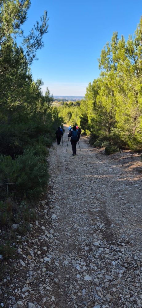 ee9b2371-ac35-4839-ae28-e216ebef34bb