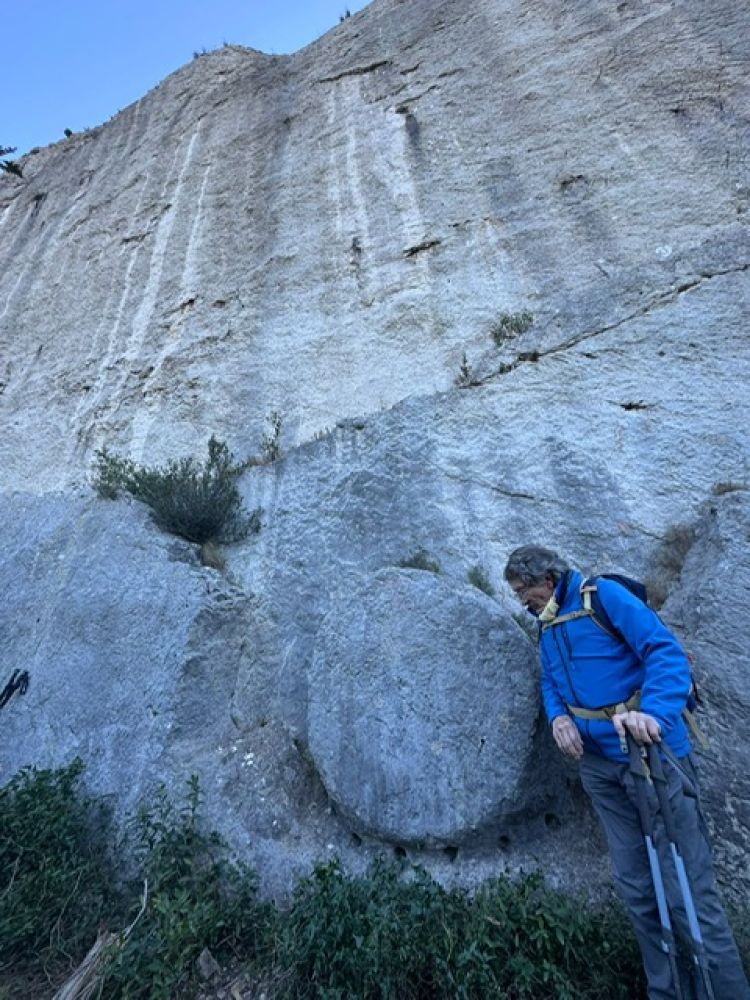 f21eda30-eb11-462a-84bf-d37f1ca1debe