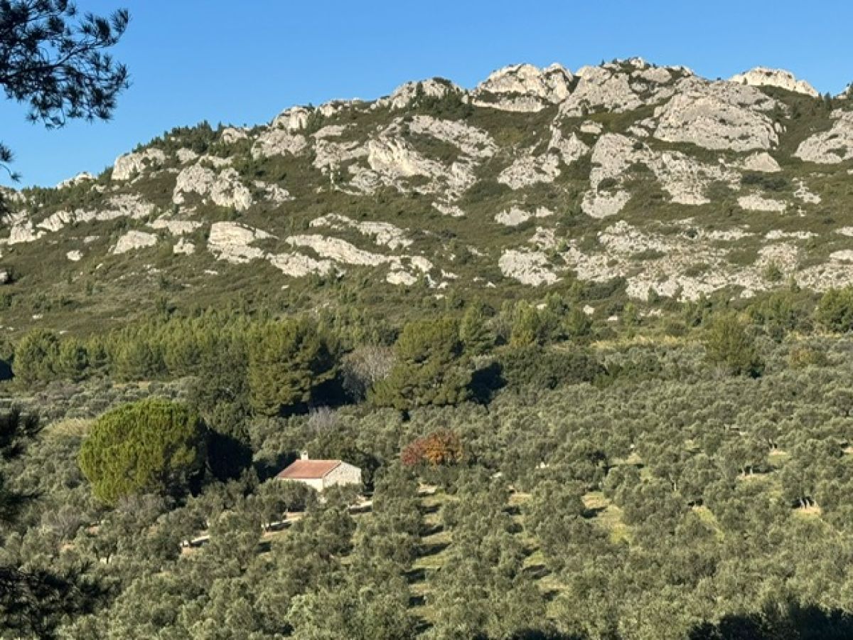 f8ae961e-a62b-4c45-9646-394808b0d61d