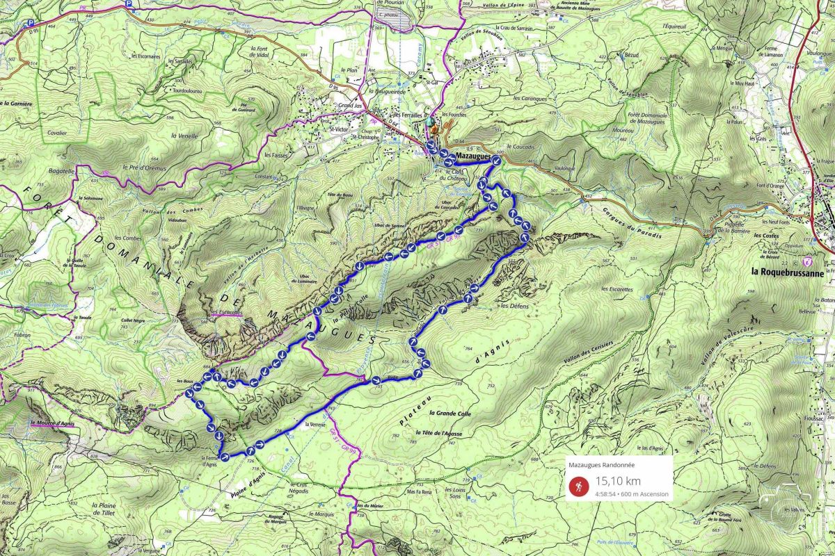 20251204SNCMAZAUGUES--FERME-D-AGNIS 20251204SNCMAZAUGUES--FERME-D-AGNIS