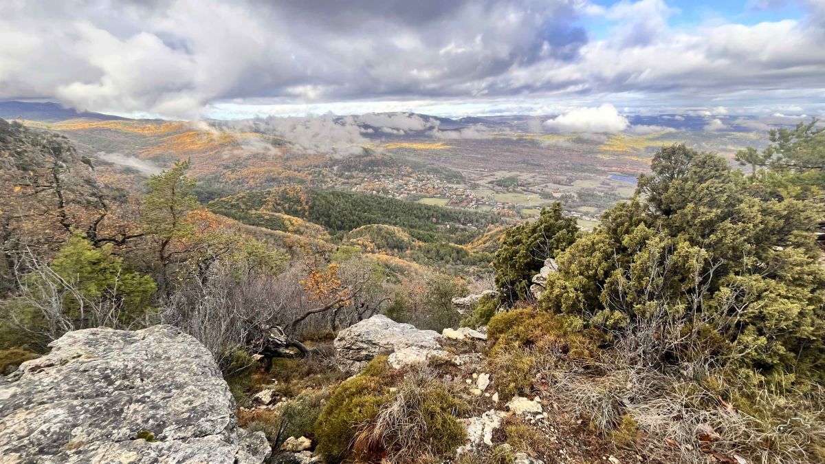 IMG0114IPHONE132025 IMG0114IPHONE132025