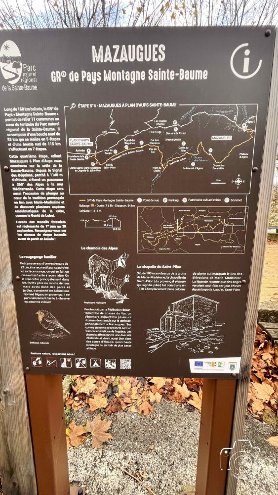 IMG0669IPHONE132025 IMG0669IPHONE132025