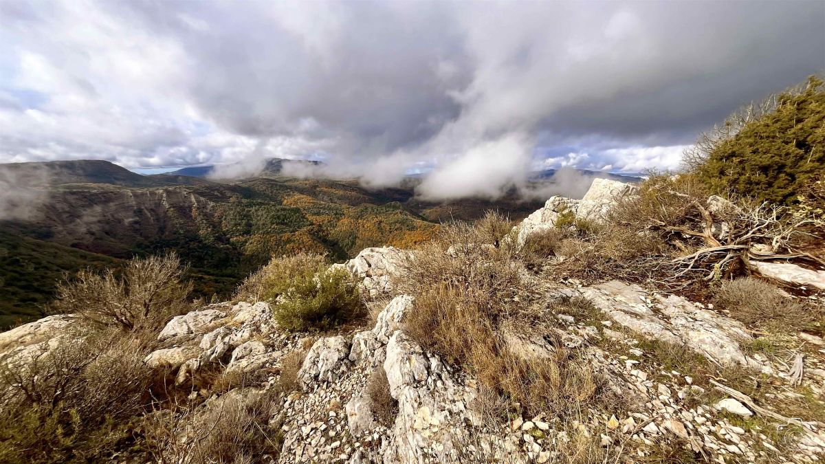 IMG0778IPHONE132025 IMG0778IPHONE132025