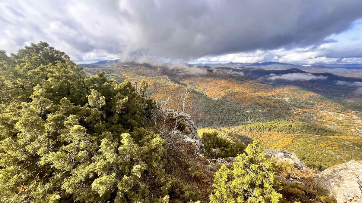 IMG2639IPHONE132025 IMG2639IPHONE132025